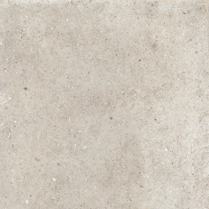 ANIMA BEIGE 60X60_01