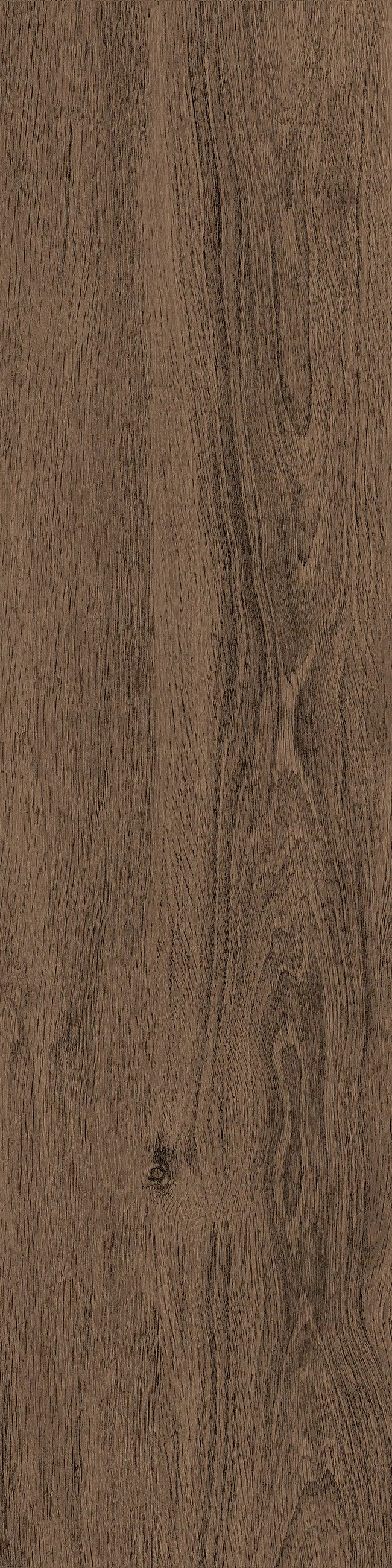 JUST NATURE_NOCE_SCURO_30x120_5