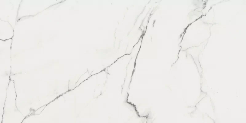 SUPREME EVO PURE STATUARIO 60X120_07