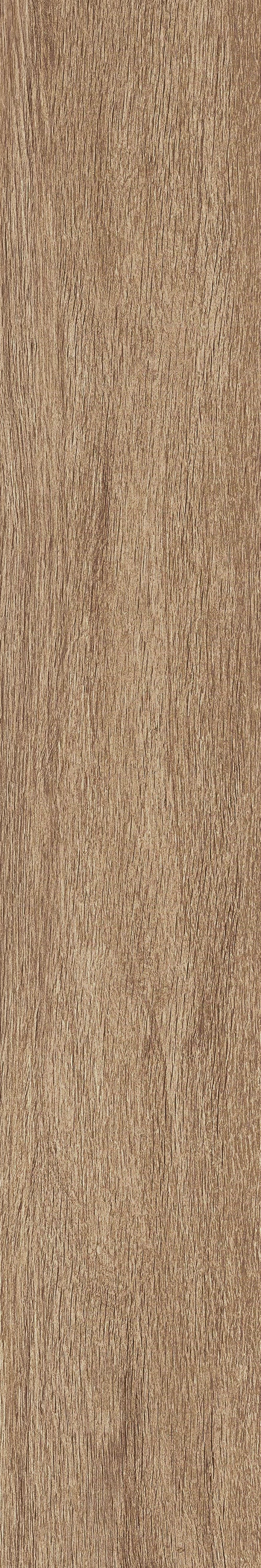 JUST NATURE_BEIGE_SCURO_20x120_6
