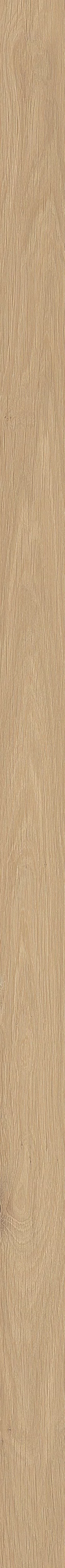 TABULAE REFINED MIELE 5X120_06