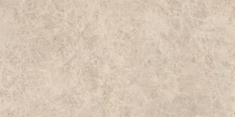 ERA DELICATE TAUPE 60X120_06