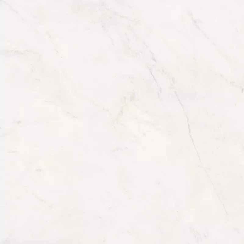SENSI WHITE RHINO 120X120_09