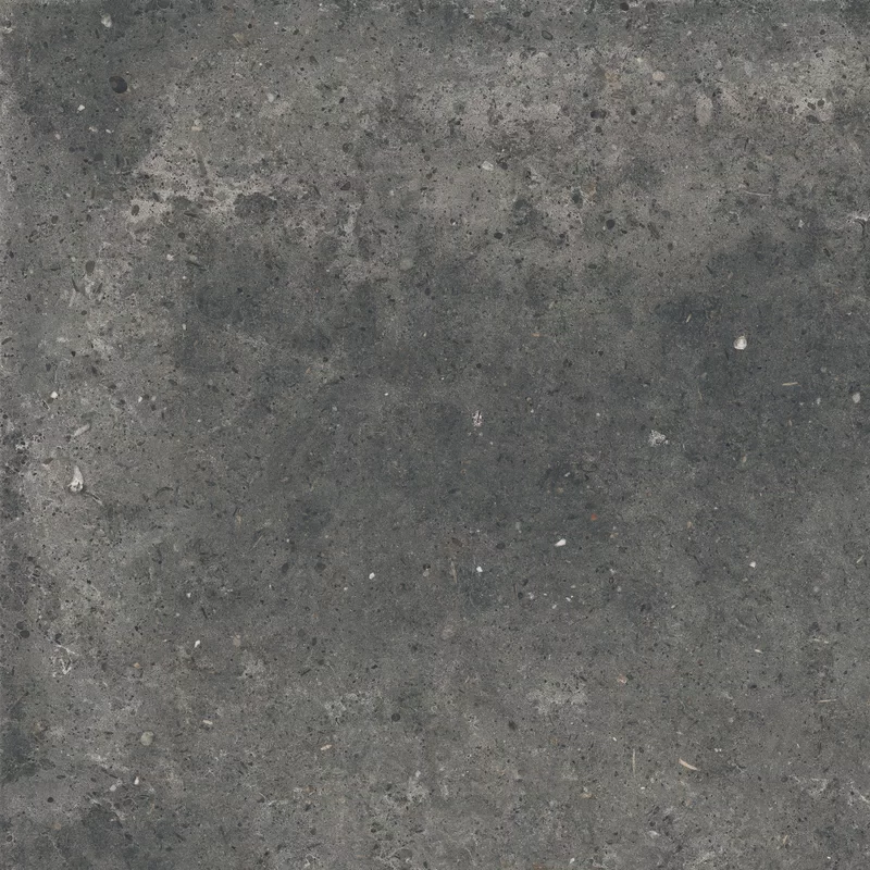 ANIMA FUMO 60X60_12