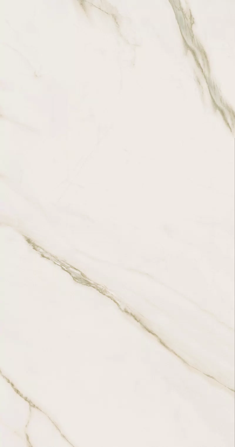 SENSI UP CALACATTA GOLD 60X120 _16