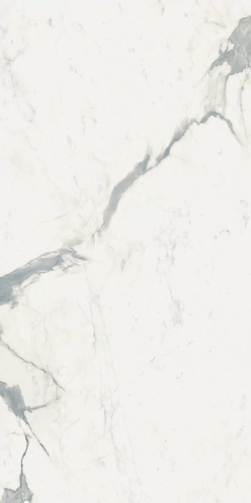STATUARIO SUPERIOR_60x120_9