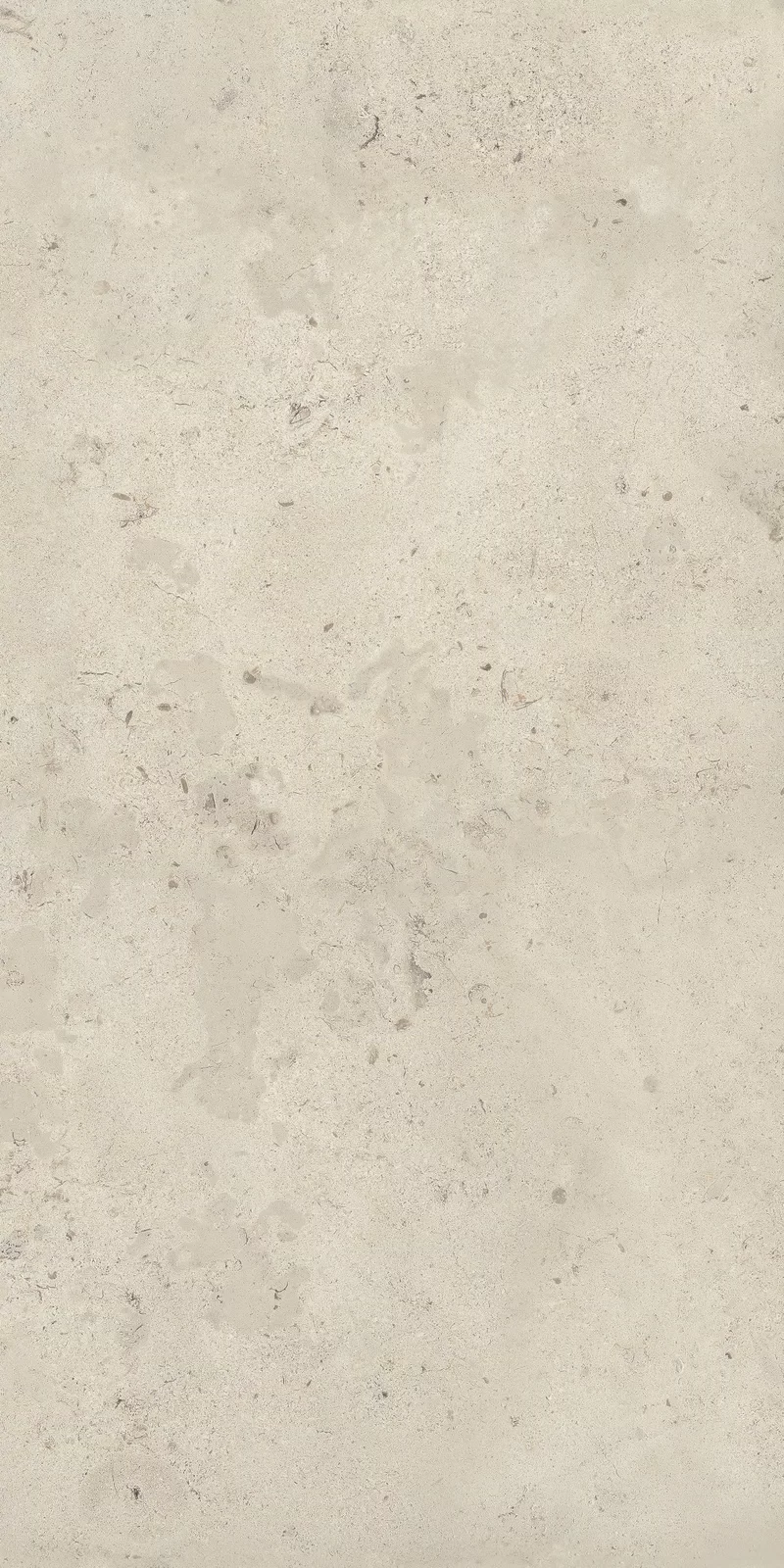 X20 CAMARGUE IVORY 60X120_12