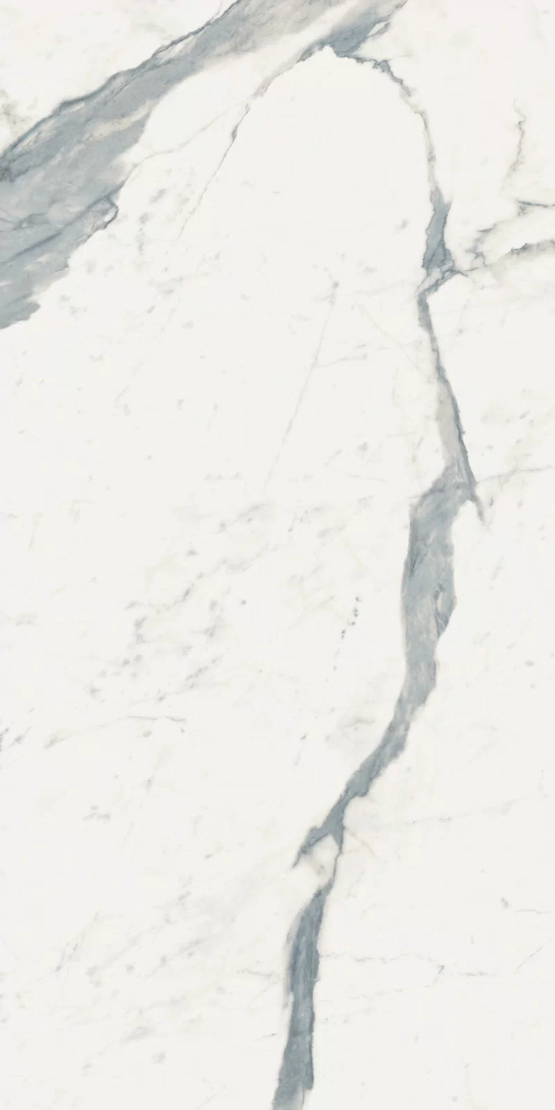 STATUARIO SUPERIOR_60x120_13
