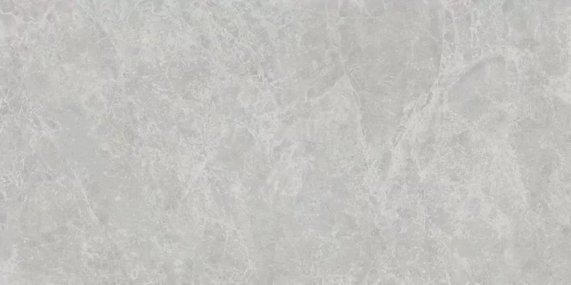 ERA DELICATE ASH 60X120_15