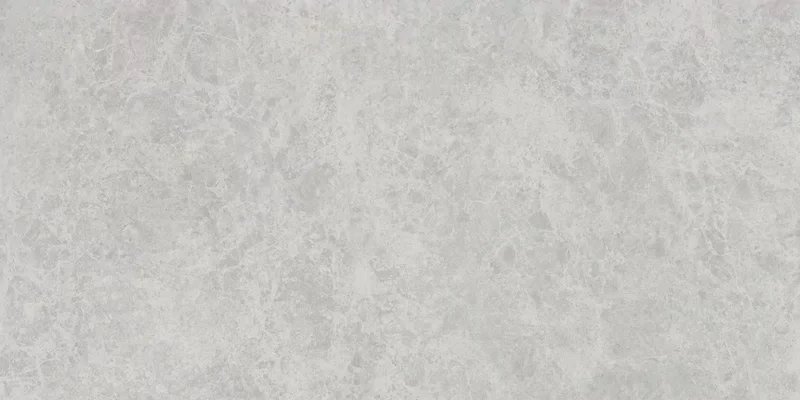 ERA DELICATE ASH 60X120_06