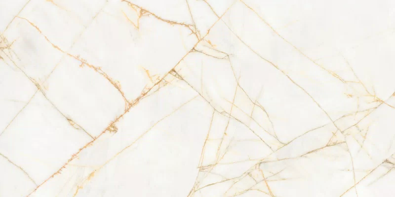 SUPREME HEDONISM GOLDEN SPIDER 60X120_11