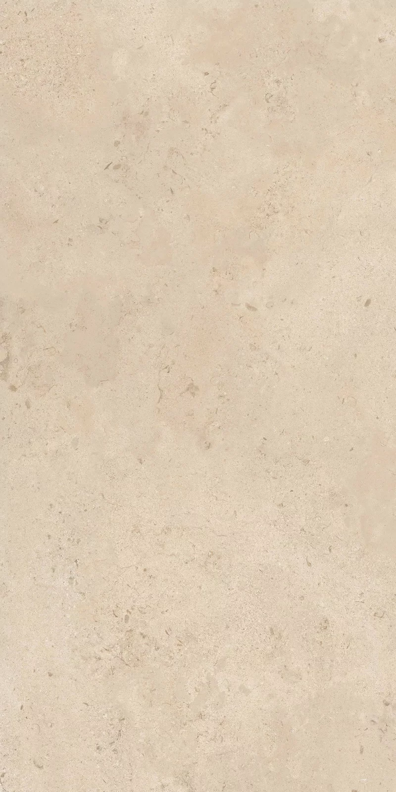 MEMENTO CAMARGUE BEIGE 60X120_15