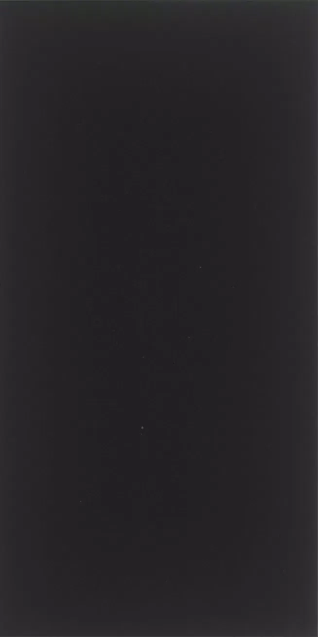 Solid color-effect Black slab from the Contemporary collection by ABKStone, size 163,5x323, Natural finish, Naturale edges.