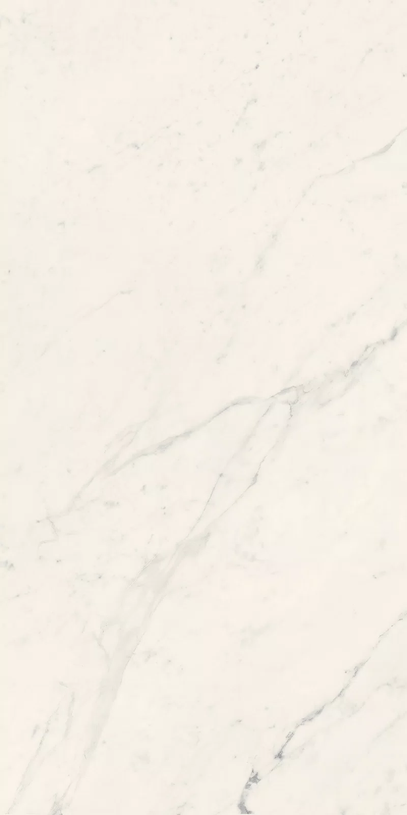 LA MARMOTECA_SAHARA WHITE_60X120_16