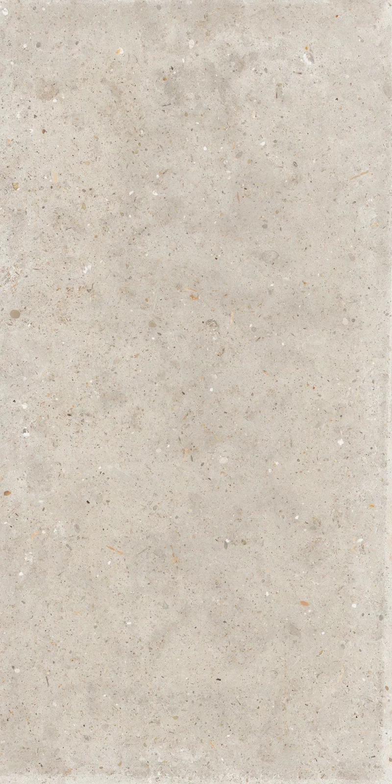 ANIMA BEIGE 60X120_10