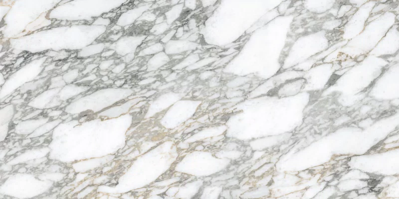 SUPREME MEMORIES BIANCO VAGLI 60X120_04