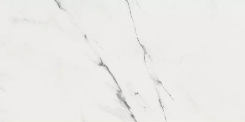 SUPREME EVO PURE STATUARIO 60X120_06