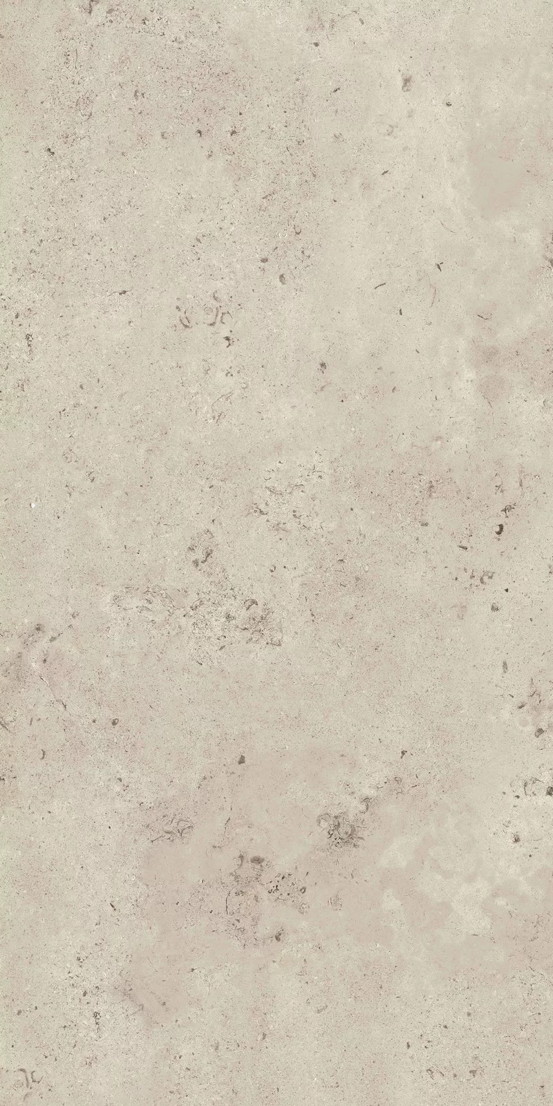 MEMENTO CAMARGUE IVORY 60X120_05