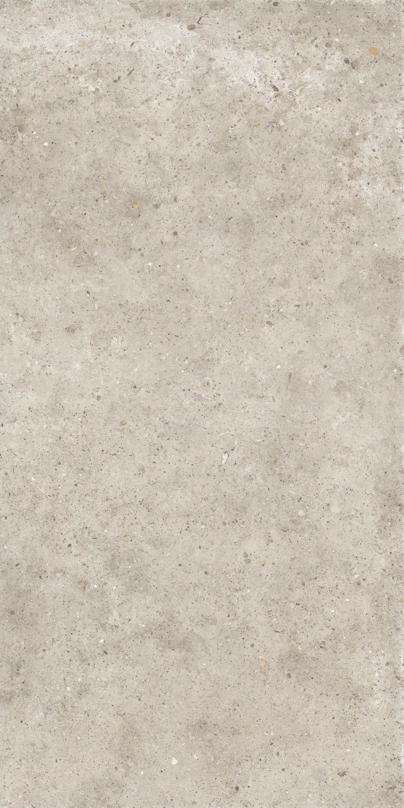 ANIMA BEIGE 60X120_14