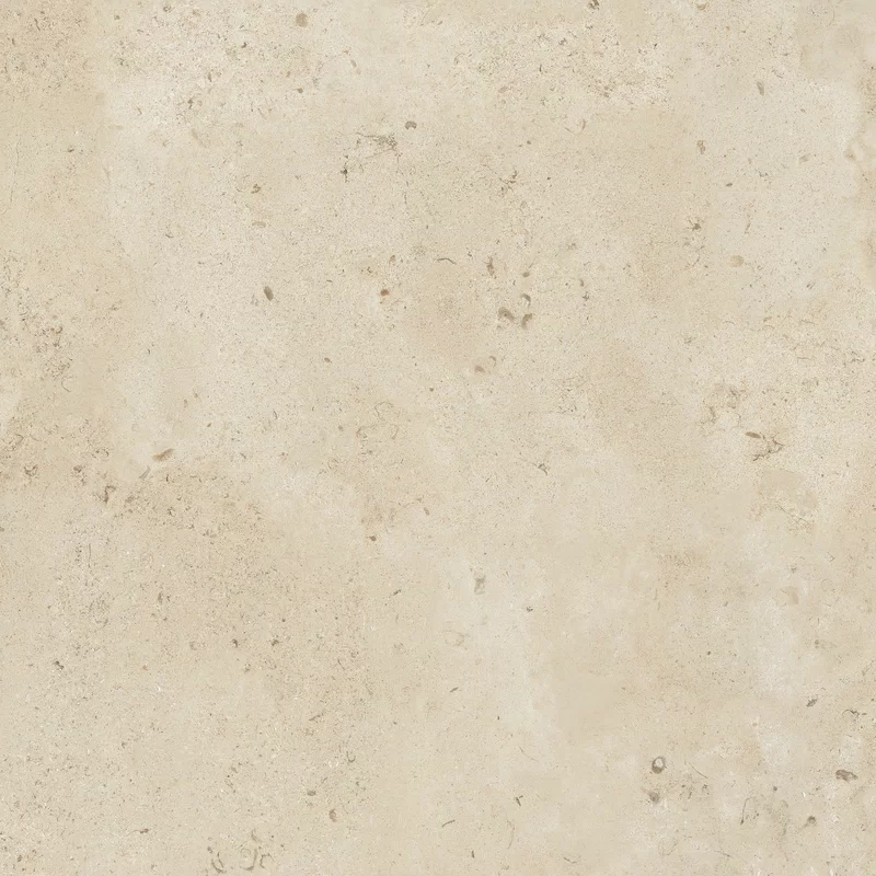 80X80 · Nat P.tech