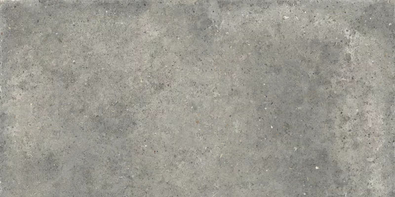 ANIMA FANGO 60X120_11