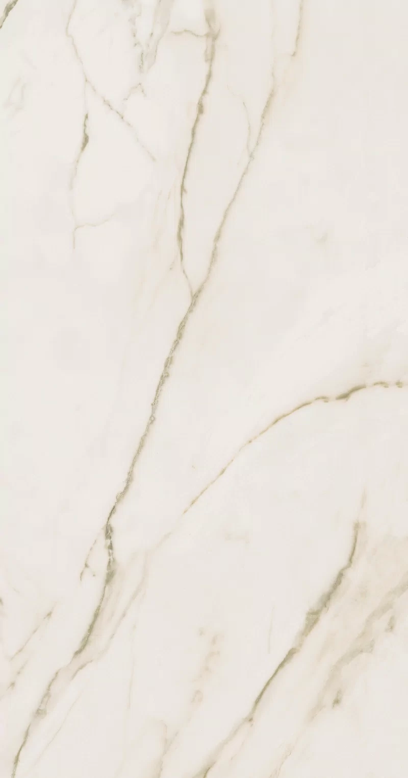 SENSI UP CALACATTA GOLD 60X120 _24