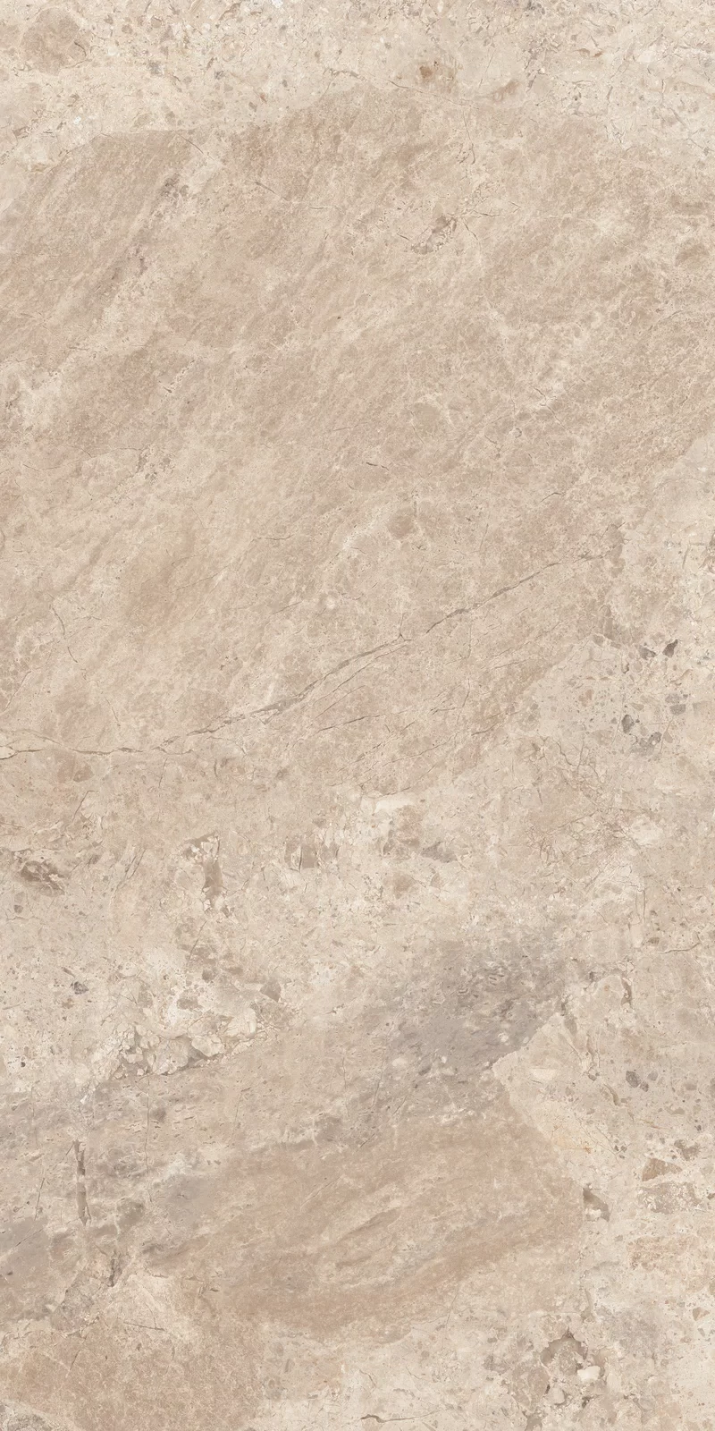 OUT.20 ERA BLOOMING TAUPE 60X120 _05