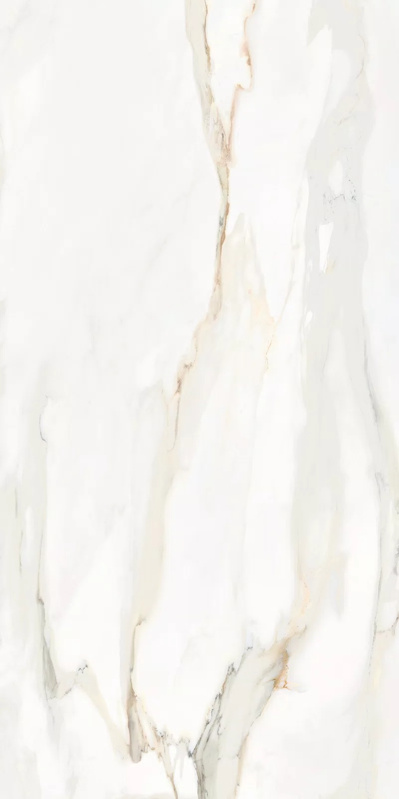 LA MARMOTECA_CALACATTA ELEGANCE_60X120_3