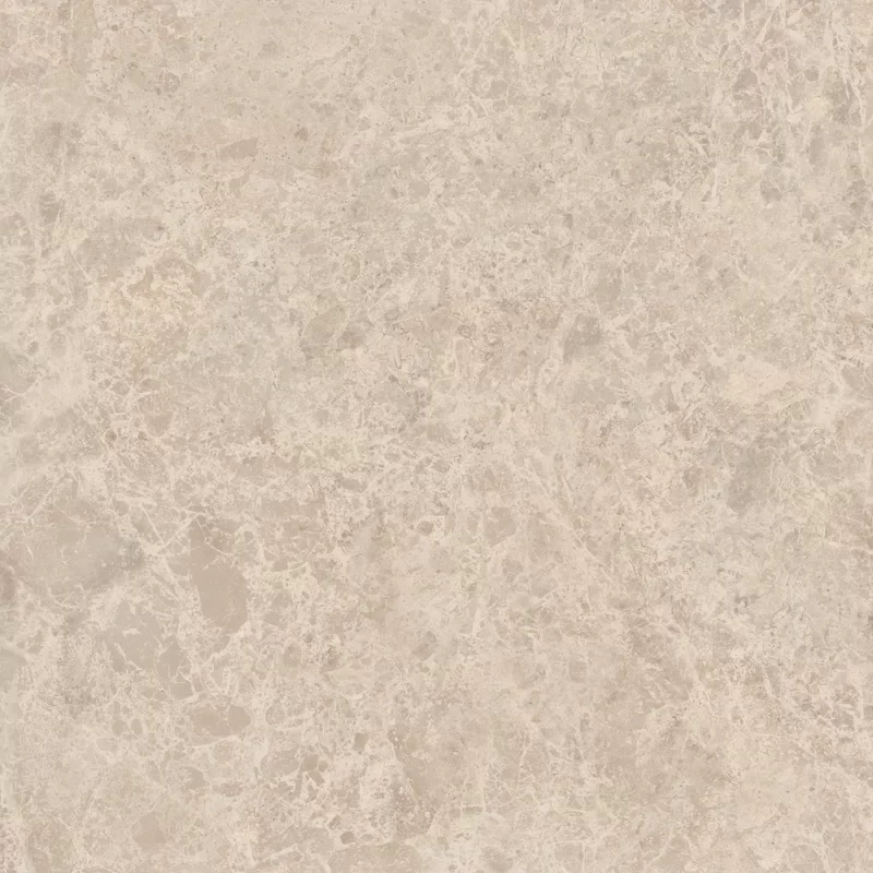 ERA DELICATE TAUPE 60X60_11