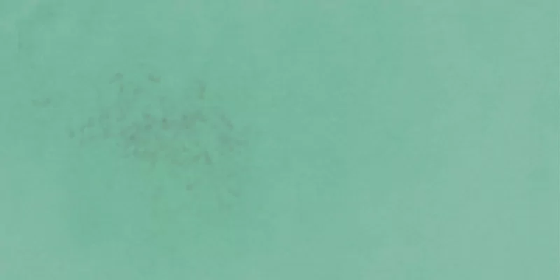 POETRY COLORS SAGE 7,5X15_16