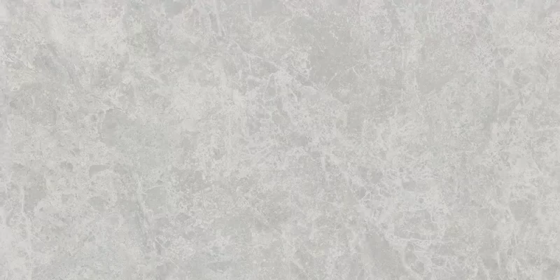 ERA DELICATE ASH 60X120_18