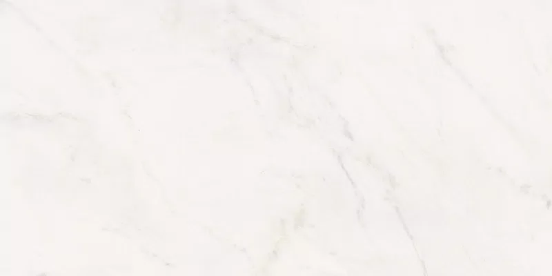 SENSI WHITE RHINO 60X120_18