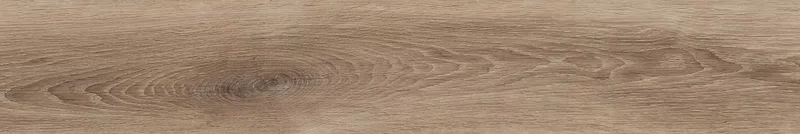 ZEN CAMEL 20X120_15