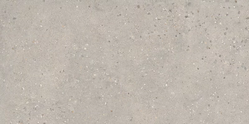 COSMOPOLITAN VIBRANT GREIGE 60X120_02