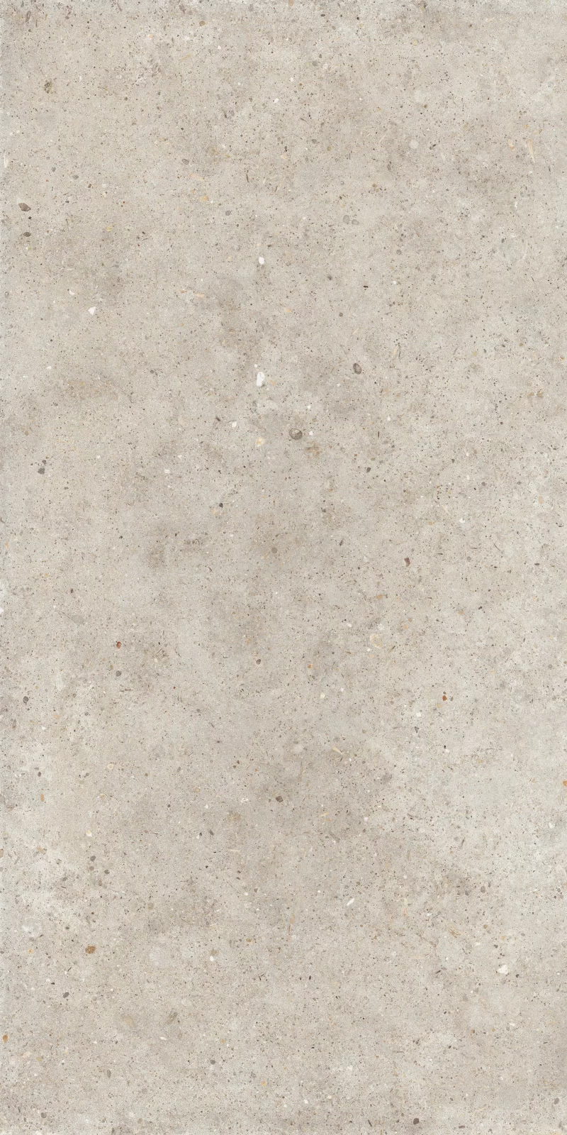 ANIMA BEIGE 60X120_05