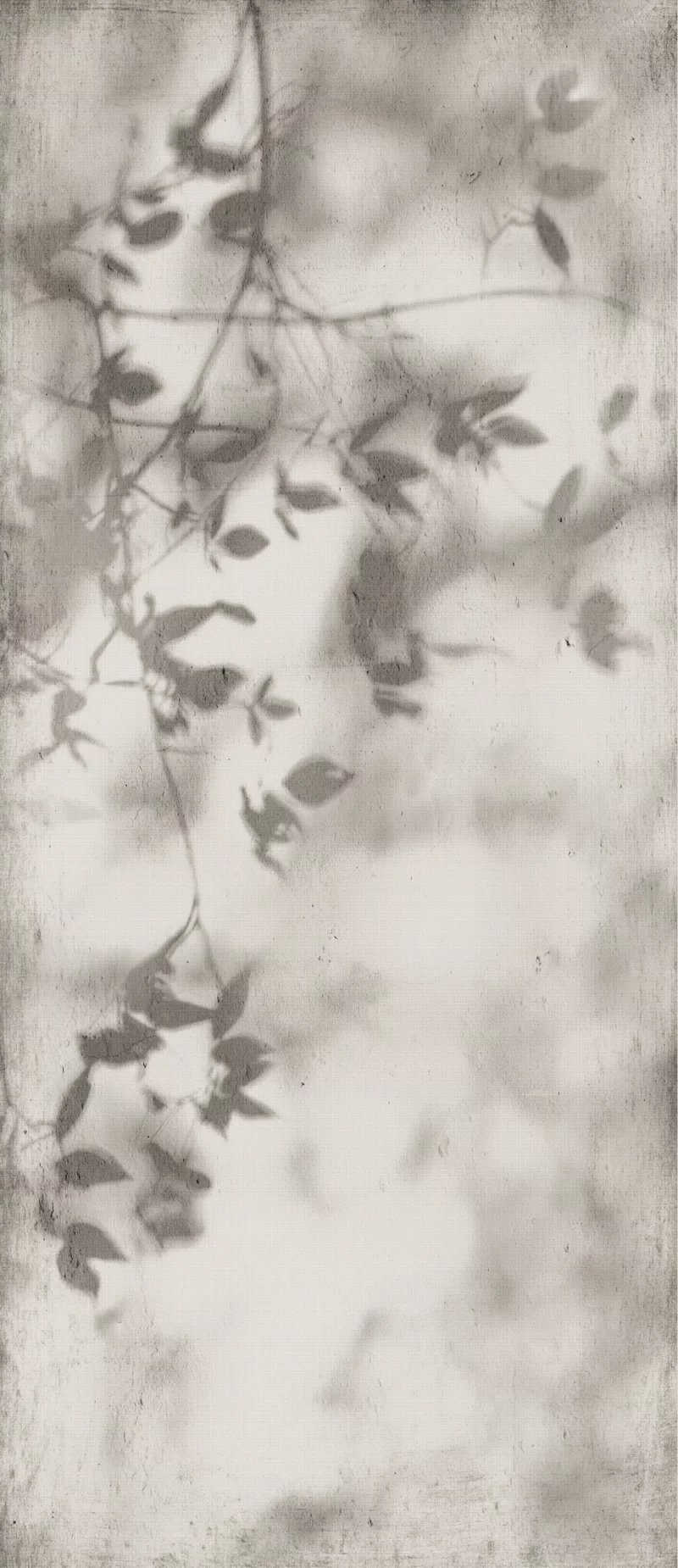 120X280 · Natürlich