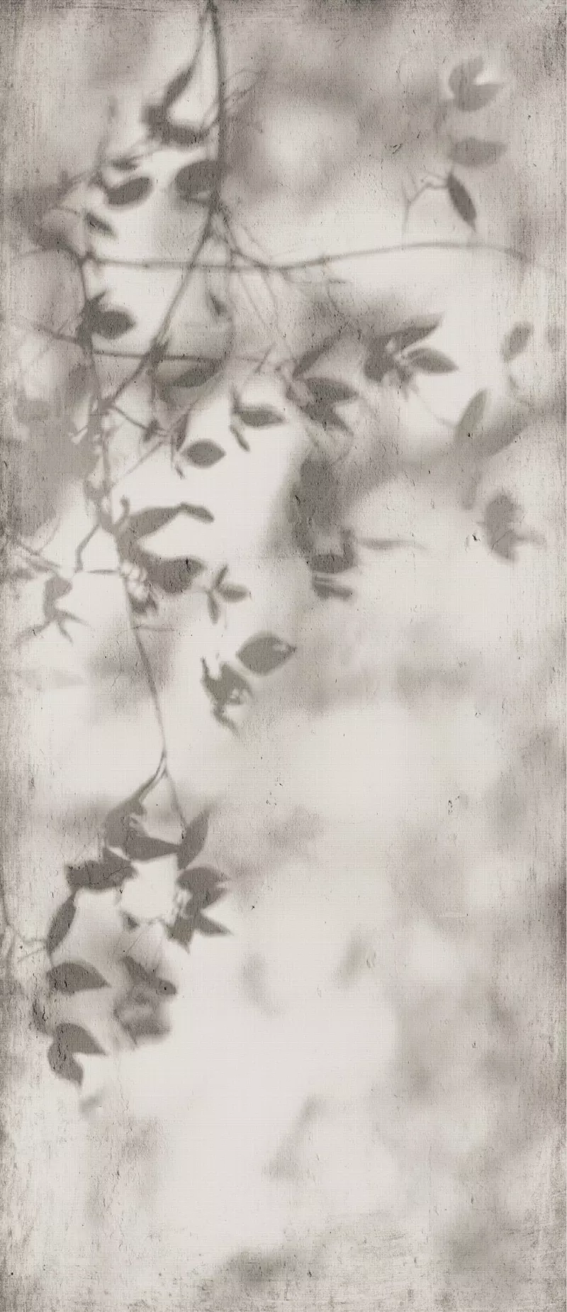 SHADOW