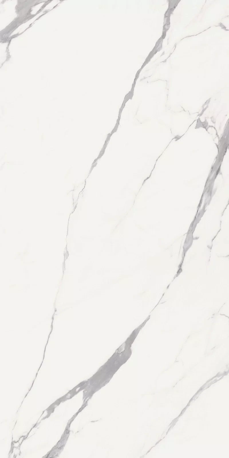 NOBILE STATUARIO 60X120_12