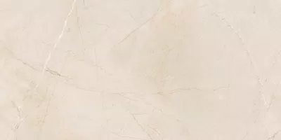 Piastrella Grigio X20, effetto marmo, 60x120, finitura R11.