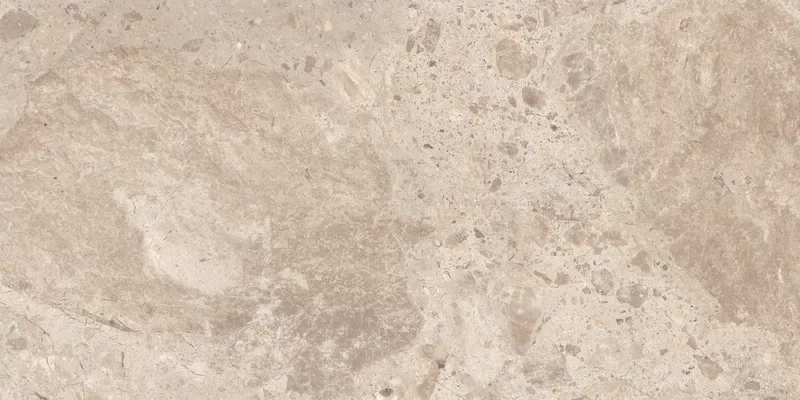 ERA BLOOMING TAUPE 60X120_08