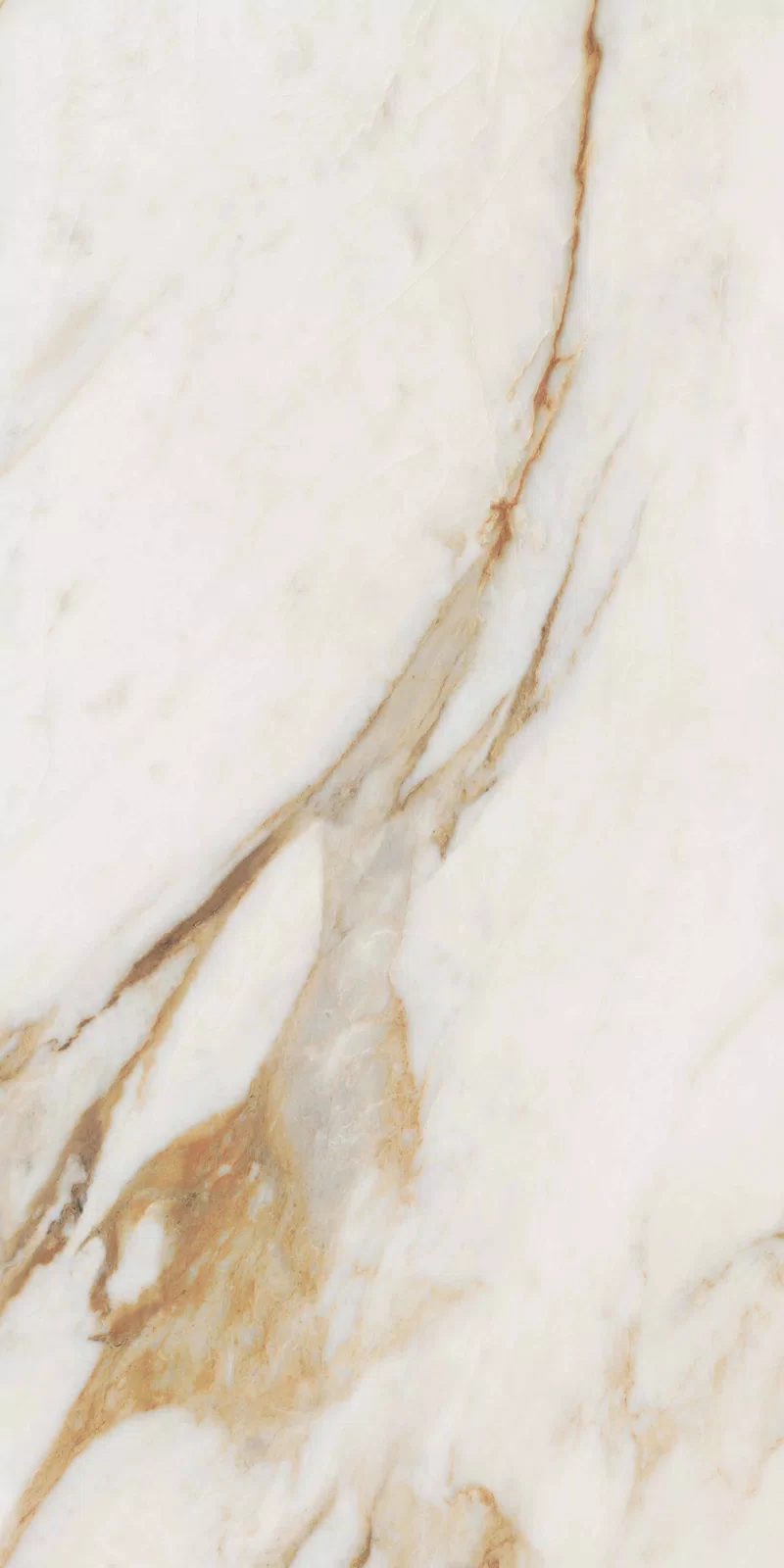 NOBILE CALACATTA 60X120_14