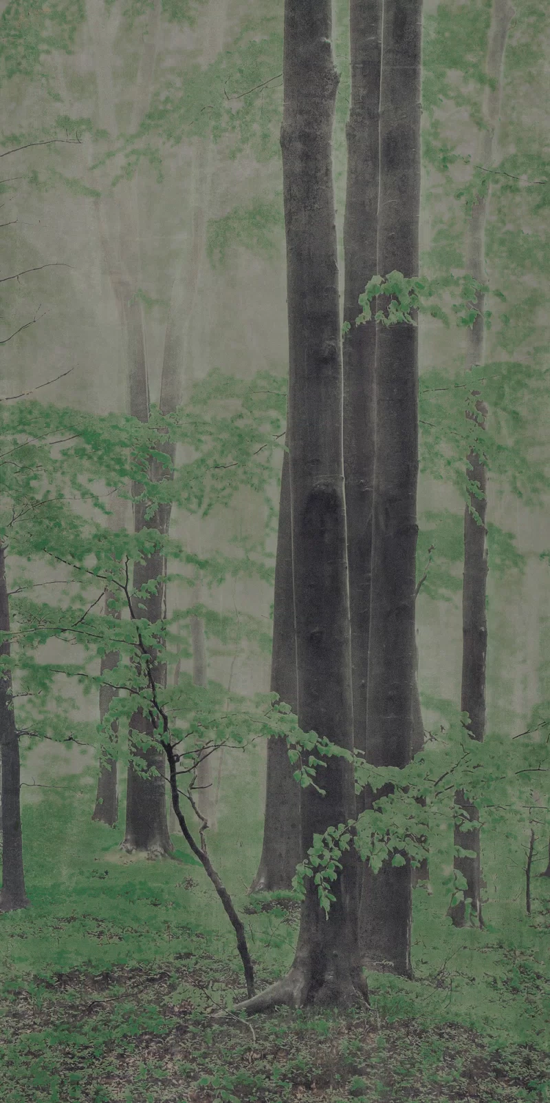 160X320 · Natürlich