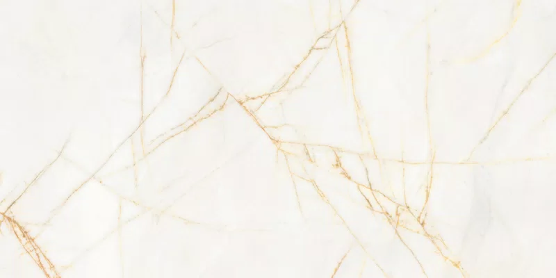 SUPREME HEDONISM GOLDEN SPIDER 60X120_13