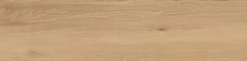 FOUR SEASONS HONEY 30X120_06