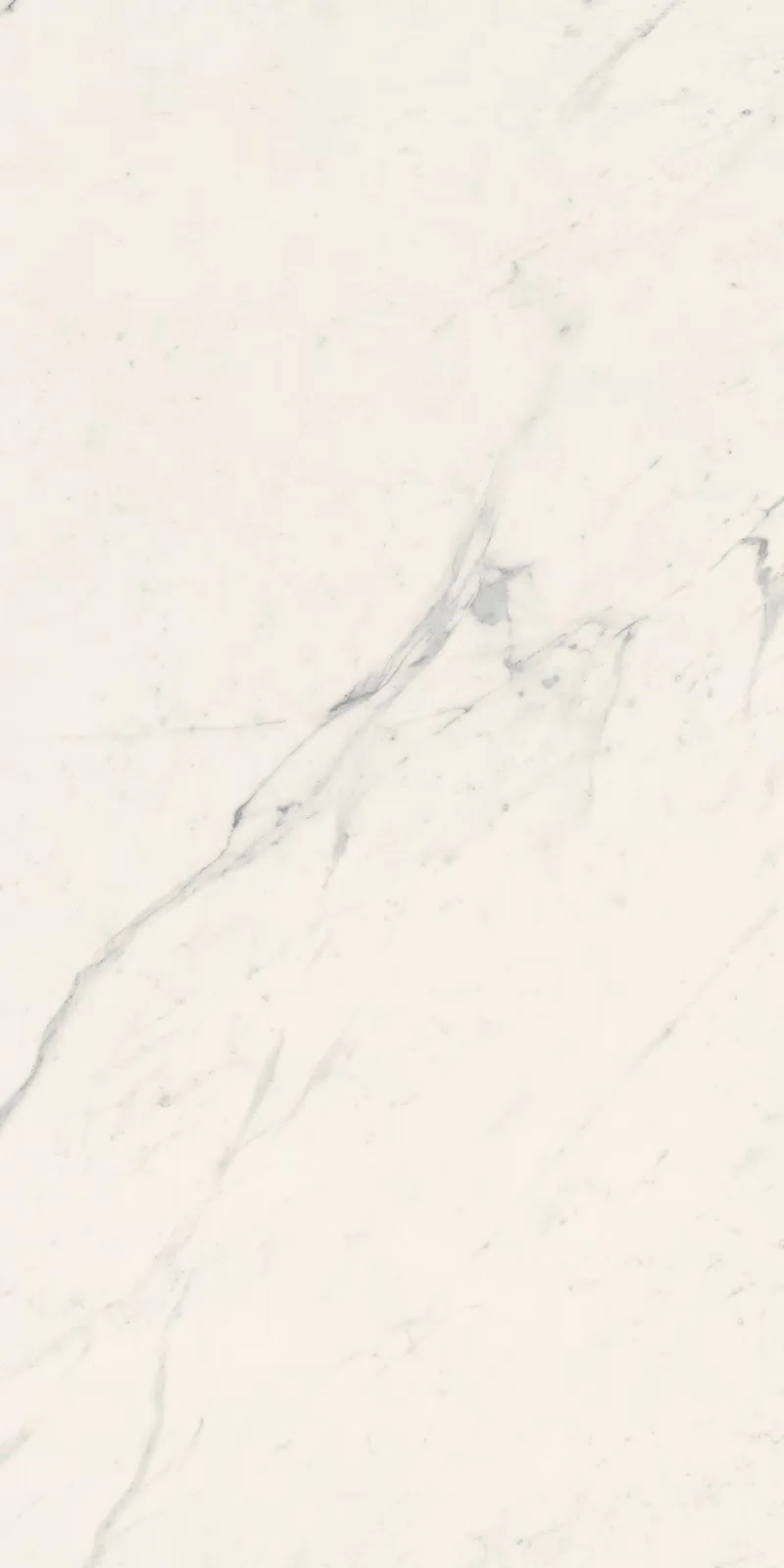 LA MARMOTECA_SAHARA WHITE_60X120_14