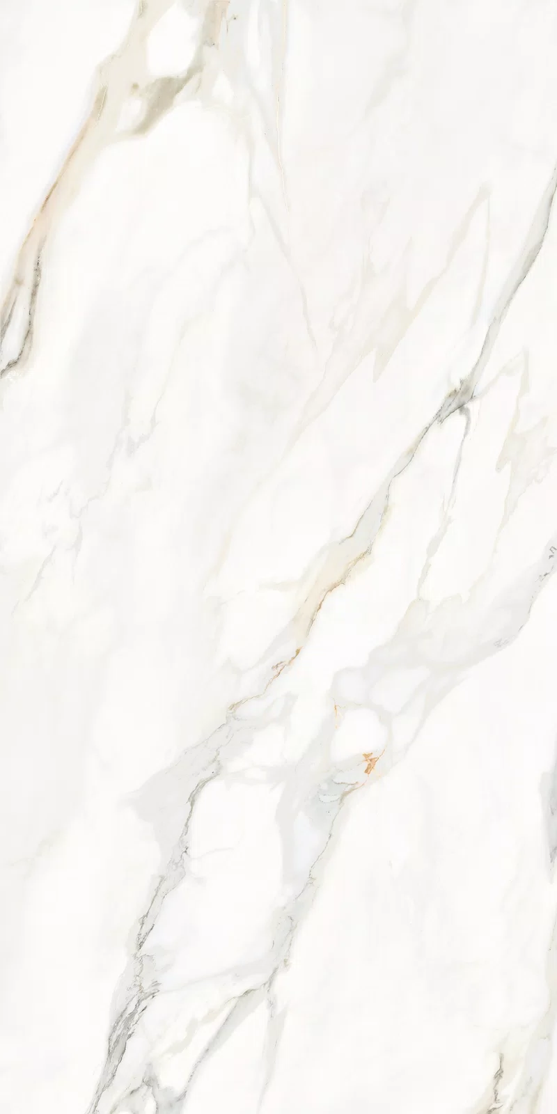 LA MARMOTECA_CALACATTA ELEGANCE_60X120_5