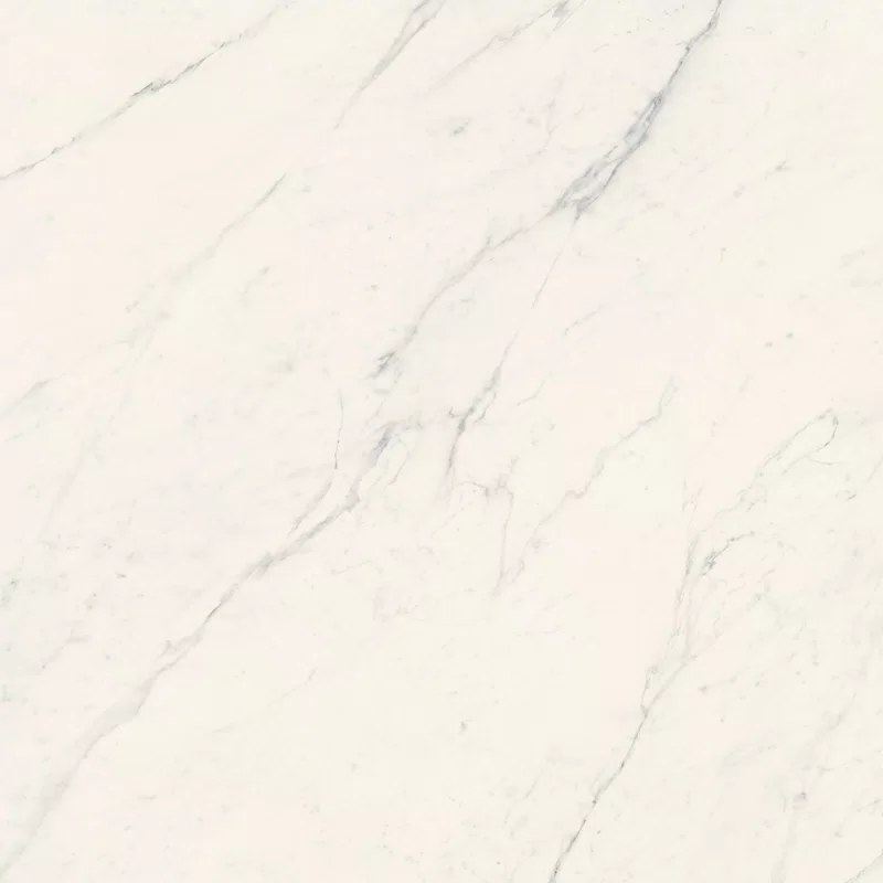 LA MARMOTECA_SAHARA WHITE_120X120_5