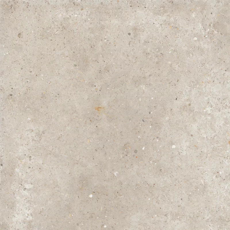 ANIMA BEIGE 60X60_05