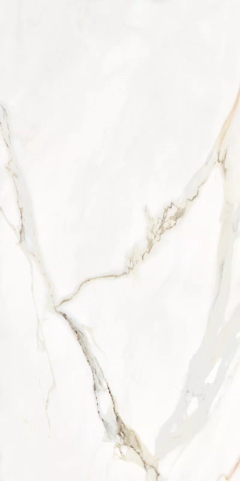 LA MARMOTECA_CALACATTA ELEGANCE_60X120_9