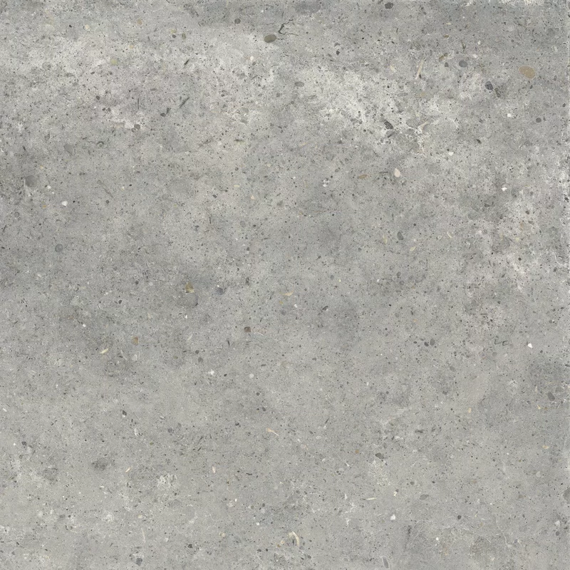 ANIMA GRIGIO 60X60_05